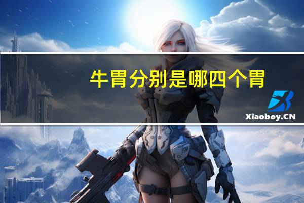 牛胃分别是哪四个胃