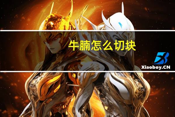 牛腩怎么切块