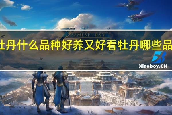 牡丹什么品种好养又好看 牡丹哪些品种好看