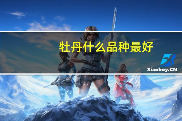 牡丹什么品种最好