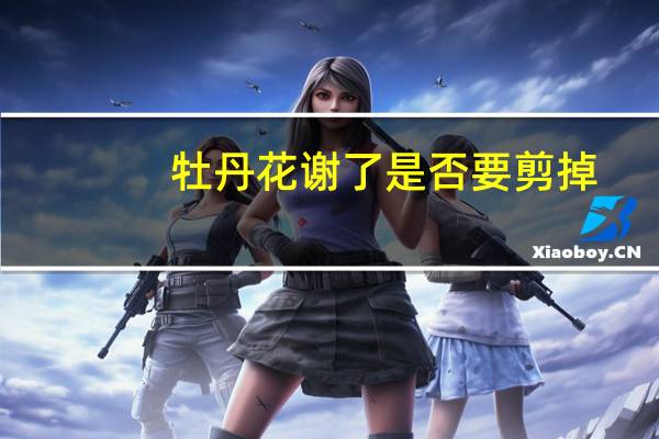 牡丹花谢了是否要剪掉