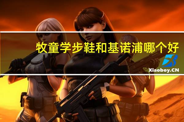 牧童学步鞋和基诺浦哪个好