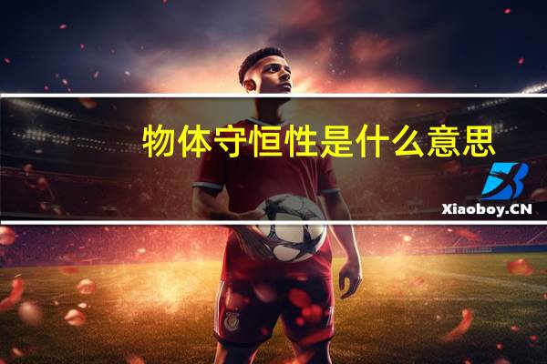 物体守恒性是什么意思