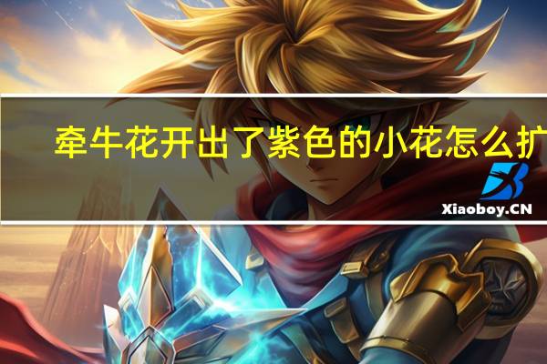 牵牛花开出了紫色的小花怎么扩句