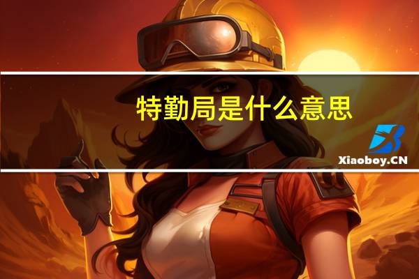 特勤局是什么意思