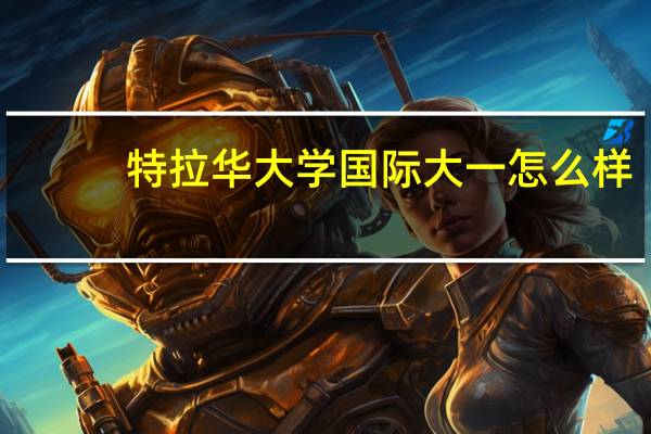特拉华大学国际大一怎么样