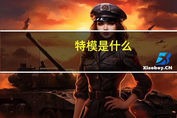 特模是什么
