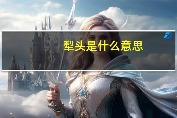 犁头是什么意思