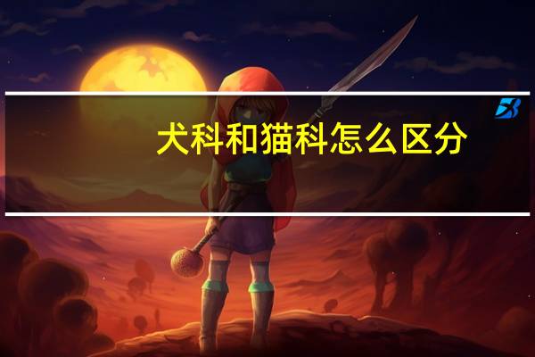 犬科和猫科怎么区分