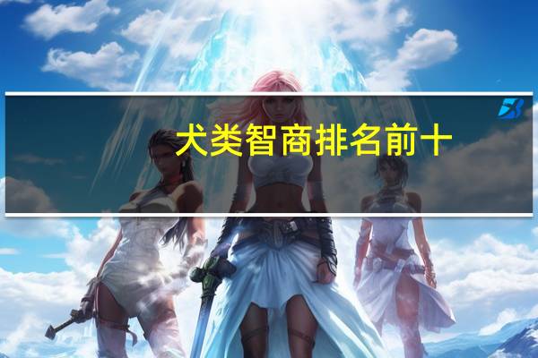 犬类智商排名前十