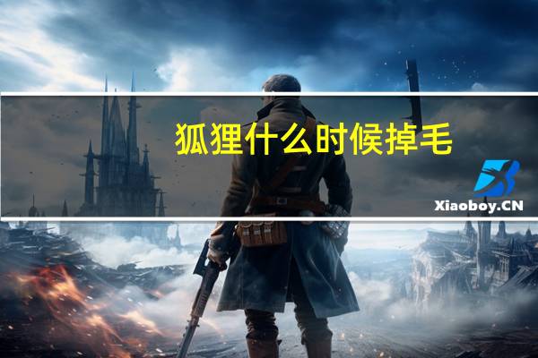 狐狸什么时候掉毛