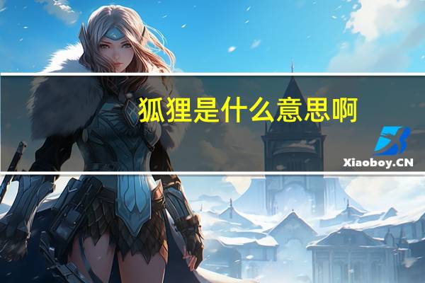 狐狸是什么意思啊