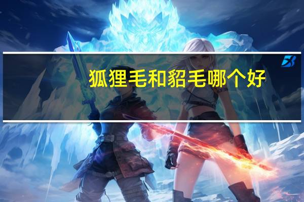 狐狸毛和貂毛哪个好