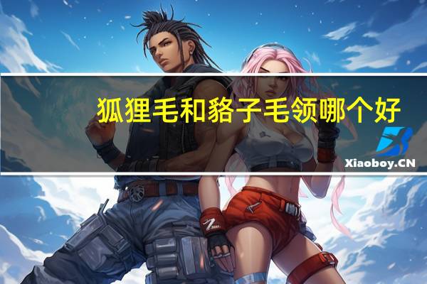 狐狸毛和貉子毛领哪个好