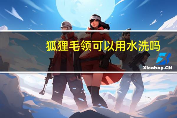 狐狸毛领可以用水洗吗