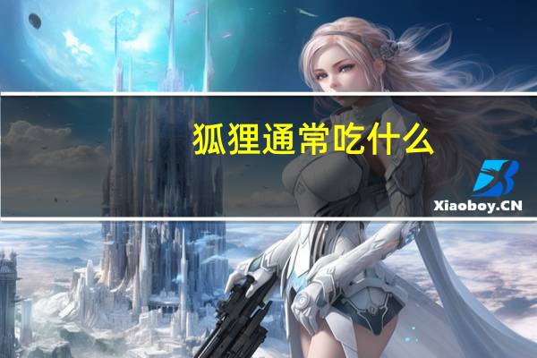 狐狸通常吃什么