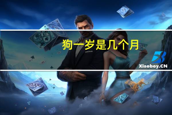 狗一岁是几个月