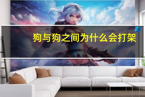 狗与狗之间为什么会打架