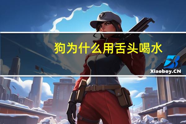 狗为什么用舌头喝水
