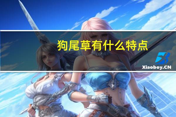 狗尾草有什么特点