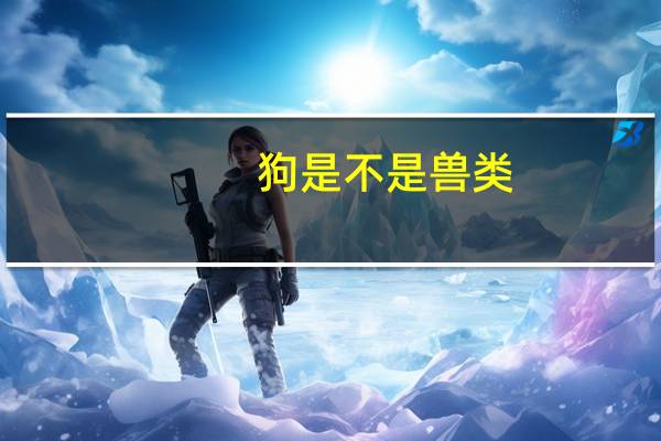 狗是不是兽类