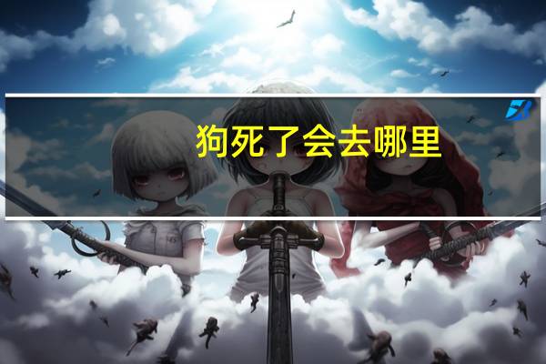 狗死了会去哪里