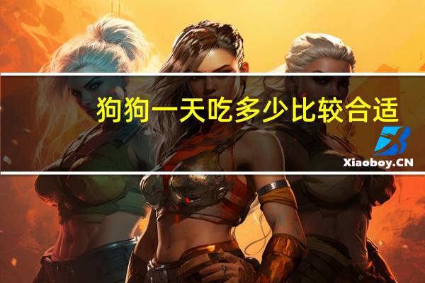 狗狗一天吃多少比较合适