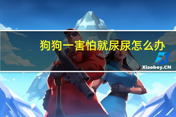 狗狗一害怕就尿尿怎么办
