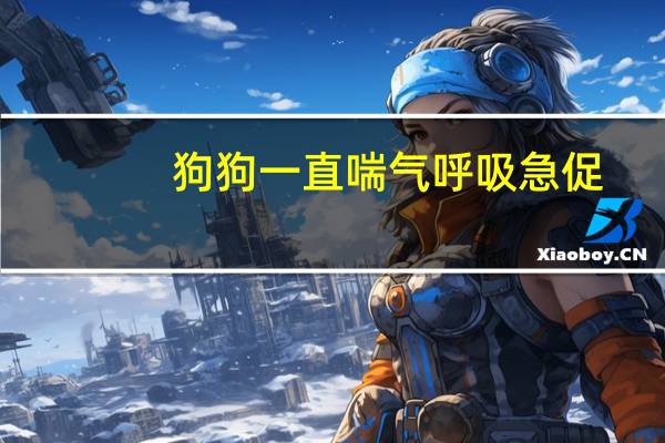 狗狗一直喘气呼吸急促