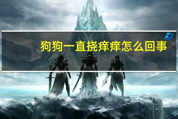 狗狗一直挠痒痒怎么回事
