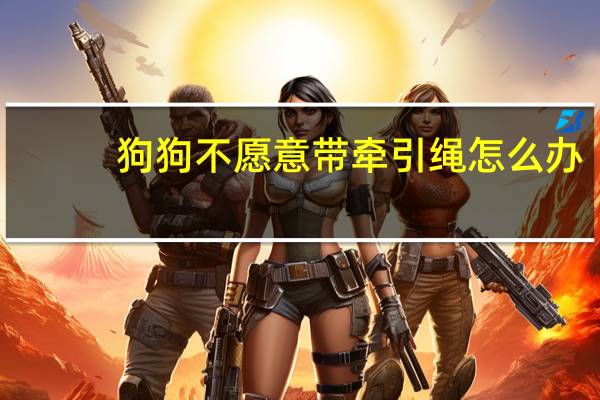 狗狗不愿意带牵引绳怎么办