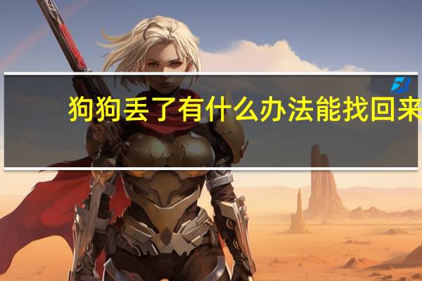 狗狗丢了有什么办法能找回来