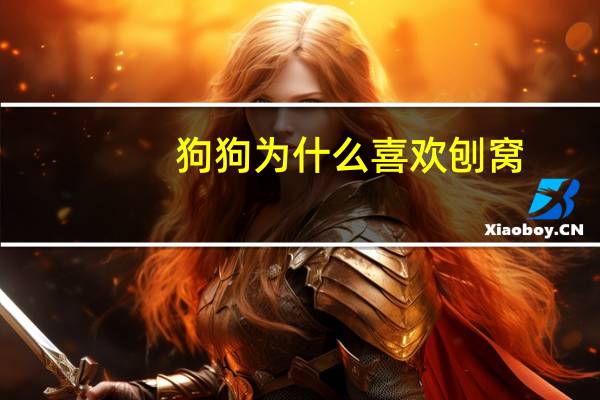 狗狗为什么喜欢刨窝