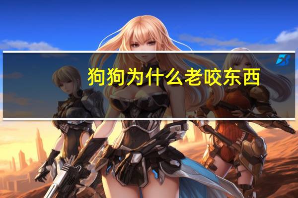 狗狗为什么老咬东西