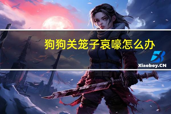 狗狗关笼子哀嚎怎么办