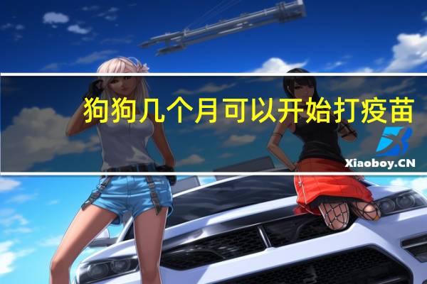 狗狗几个月可以开始打疫苗