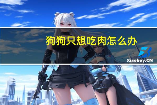 狗狗只想吃肉怎么办