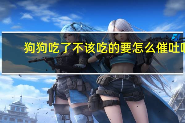 狗狗吃了不该吃的要怎么催吐啊