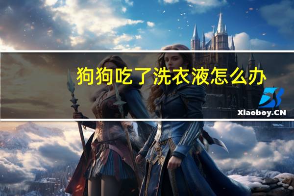 狗狗吃了洗衣液怎么办
