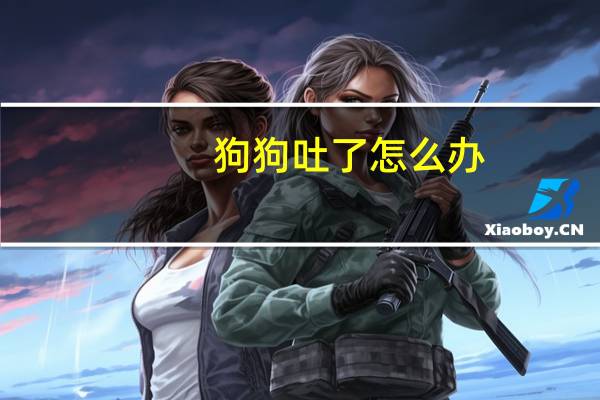 狗狗吐了怎么办