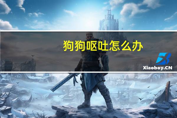 狗狗呕吐怎么办