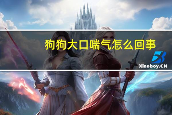 狗狗大口喘气怎么回事