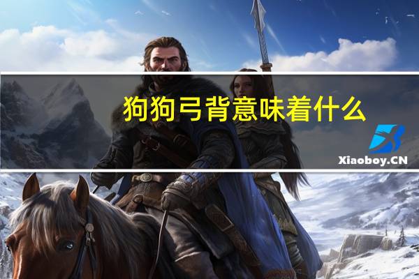 狗狗弓背意味着什么