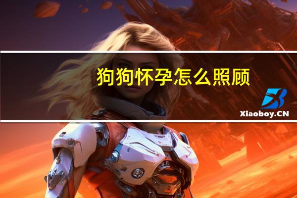 狗狗怀孕怎么照顾