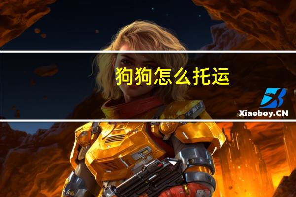 狗狗怎么托运
