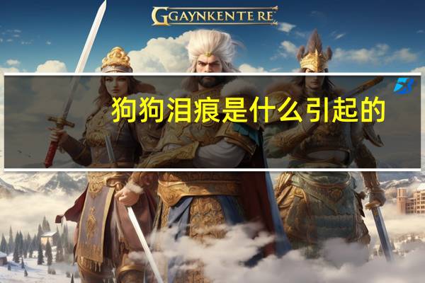 狗狗泪痕是什么引起的