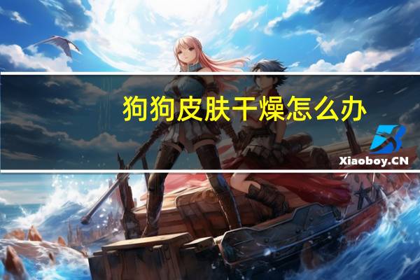 狗狗皮肤干燥怎么办