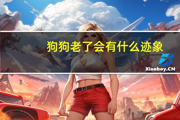 狗狗老了会有什么迹象