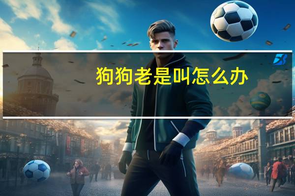 狗狗老是叫怎么办