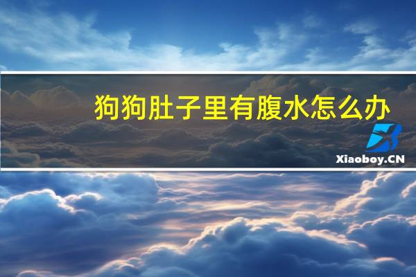 狗狗肚子里有腹水怎么办